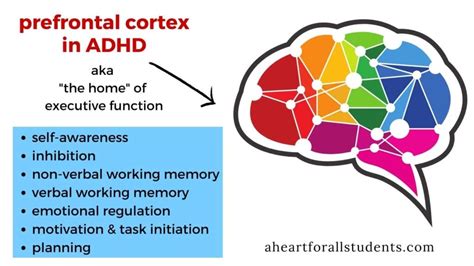 adhd ドーパミン 脳内の化学物質と集中力の謎